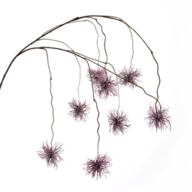 Xanthium hangend paars