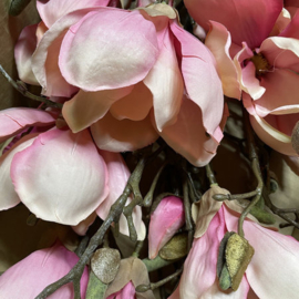 Magnolia tak Roze