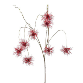 Xanthium hangend rood
