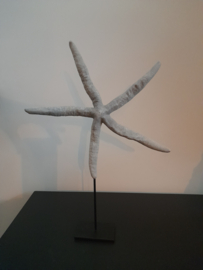 Zeester Decoratie Grijs