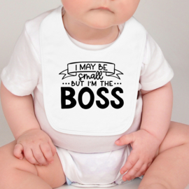 I'm the boss