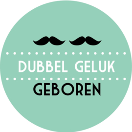 Geboorte sluitzegels | Tweeling | Snorren dubbel geluk | mint