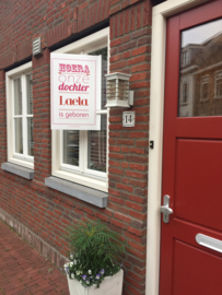 Geboortebord/ raambord | Welcome dochter (handlettering) | naam| roze vanaf