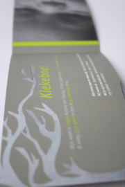 Geboortekaartje | geprint | 10 x 20 cm  'Pepijn'