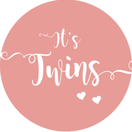 Geboorte sluitzegels | Tweeling | It's twins | oudroze