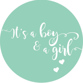 Geboorte sluitzegels | Tweeling | It’s a boy & girl | mint