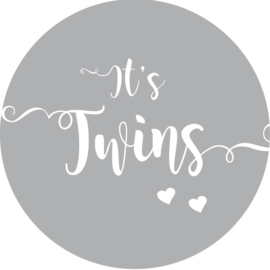 Geboorte sluitzegels | Tweeling   It's twins | grijs