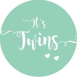 eboorte sluitzegels | Tweeling |  It's twins | mint