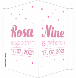 Geboortebord/ raambord | Tweeling | confetti | dochters | roze vanaf