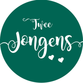 Geboorte sluitzegels | Tweeling | Twee jongens | groen