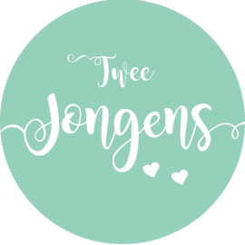 Geboorte sluitzegels | Tweeling | Twee jongens | mint