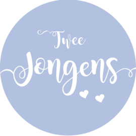 Geboorte sluitzegels | Tweeling | Twee jongens | baby blauw