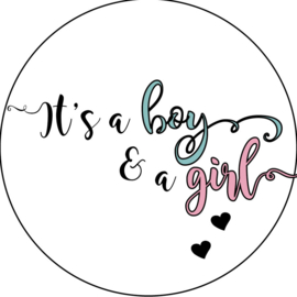 Geboorte sluitzegels | Tweeling | It’s a boy & girl | blauw/roze