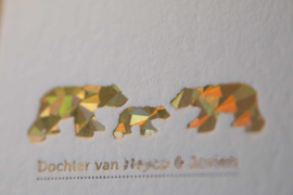 Geboortekaartje | letterpress  | 10 x 20 cm | Folie druk | 'Fleur/ijsbeer' vanaf