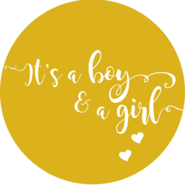 Geboorte sluitzegels | Tweeling | It’s a boy & girl | okergeel