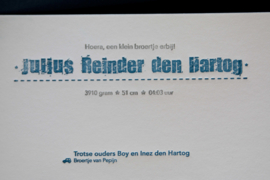 Geboortekaartje | letterpress  | 8 x 20 cm | 4 drukgangen | 'Bakfiets Julius' vanaf