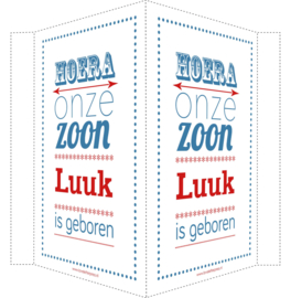 Geboortebord/ raambord | Hoera zoon vintage auto | naam | blauw/rood vanaf