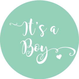 Geboorte sluitzegels | It's a boy | mint