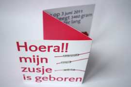 Geboortekaartje | geprint | 10 x 20 cm  'Evi'