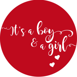 Geboorte sluitzegels | Tweeling | It’s a boy & girl | rood