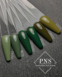 My Little Polish Sergeant (Militairy)