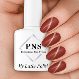 My Little Polish Brussel