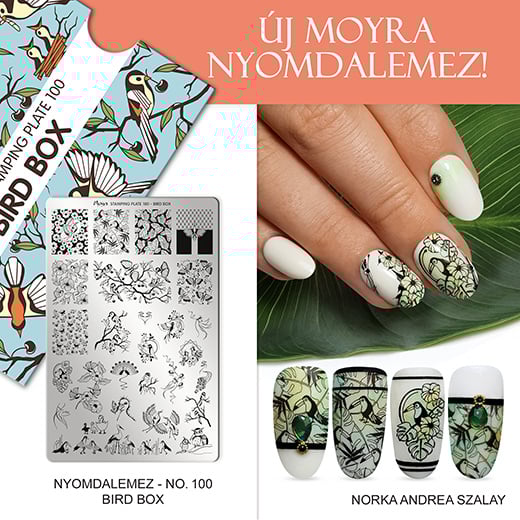 Moyra Stamping Plate 100 Bird Box