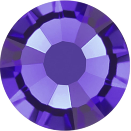 Purple Velvet ss8