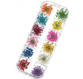 Gedroogde bloemen set