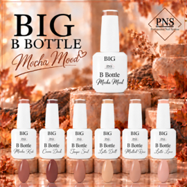 Big B.Bottle Mocha Mood Collection
