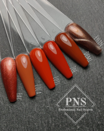 My Little Polish Eylin (Rustic Romance)