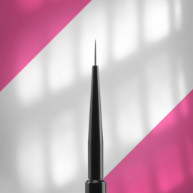 Penselen & Dust Brush
