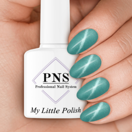 My little Polish Cheetah (Big Kitty Cats)