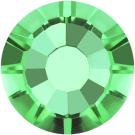 Fern Green ss8