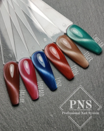 My little Polish Jaguar (Big Kitty Cats)