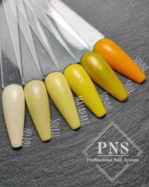 My Little Polish Sole (Is it a Star?)