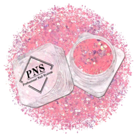 PNS Glitter 63