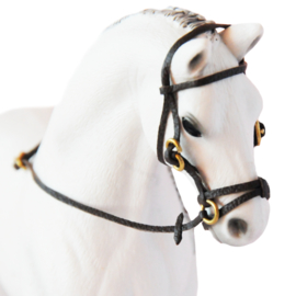 Bridle with Flash