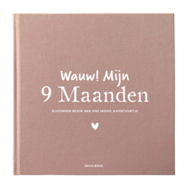 9- Maanden invulboek || Linnen Roze