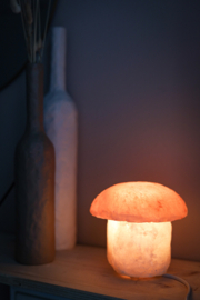 Himalaya zoutsteen lamp || Paddenstoel Oranje