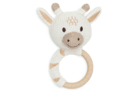 Jollein Bijtring || Giraffe