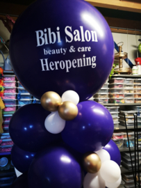 bibisalon