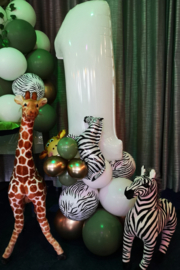 jungle