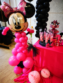 Mini mouse