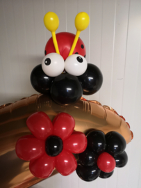 boeket ladybug