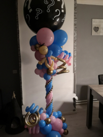 Gender Reveal 1