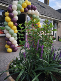 Boog opening winkel