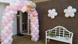 Baby shower incl folie ballonnen