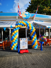 Opening viszaak
