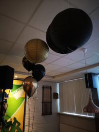 Levensfeest